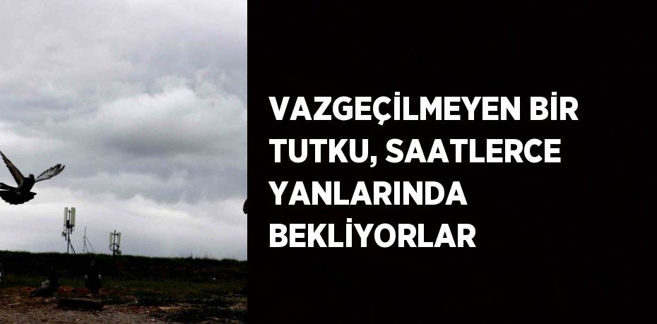 VAZGEÇİLMEYEN BİR TUTKU, SAATLERCE YANLARINDA BEKLİYORLAR