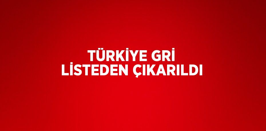 TÜRKİYE GRİ LİSTEDEN ÇIKARILDI