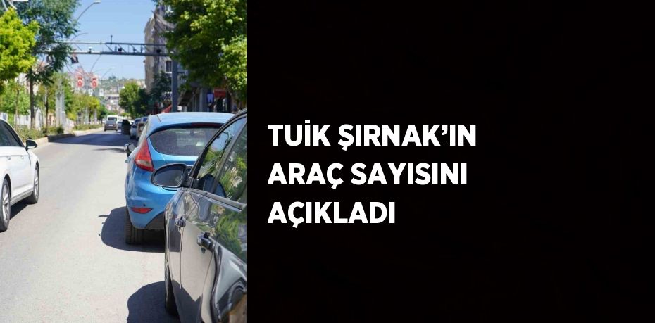 TUİK ŞIRNAK’IN ARAÇ SAYISINI AÇIKLADI