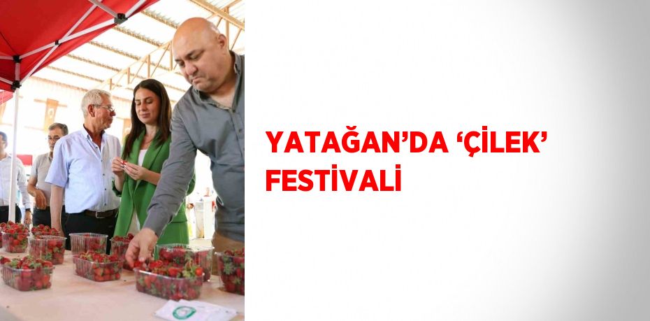 YATAĞAN’DA ‘ÇİLEK’ FESTİVALİ