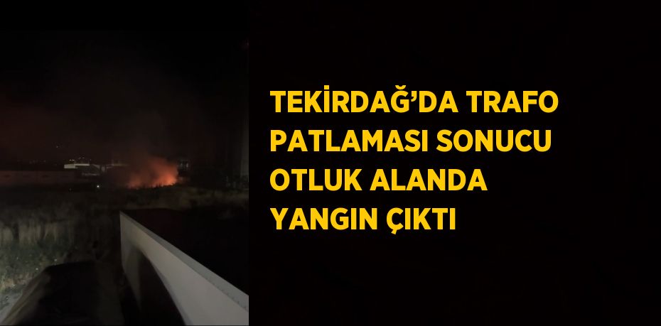 TEKİRDAĞ’DA TRAFO PATLAMASI SONUCU OTLUK ALANDA YANGIN ÇIKTI