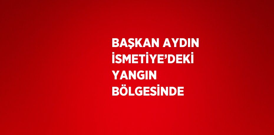 BAŞKAN AYDIN İSMETİYE’DEKİ YANGIN BÖLGESİNDE