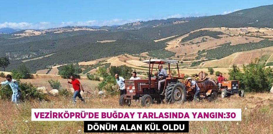 VEZİRKÖPRÜ’DE BUĞDAY TARLASINDA YANGIN:30 DÖNÜM ALAN KÜL OLDU