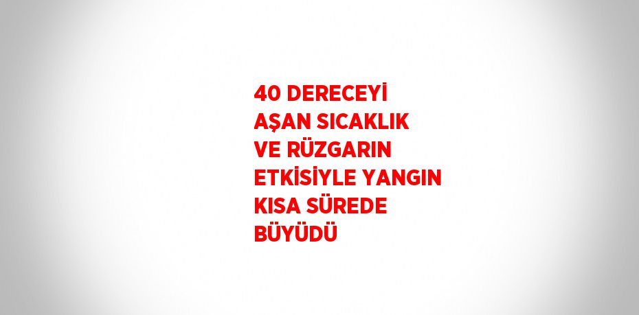 40 DERECEYİ AŞAN SICAKLIK VE RÜZGARIN ETKİSİYLE YANGIN KISA SÜREDE BÜYÜDÜ