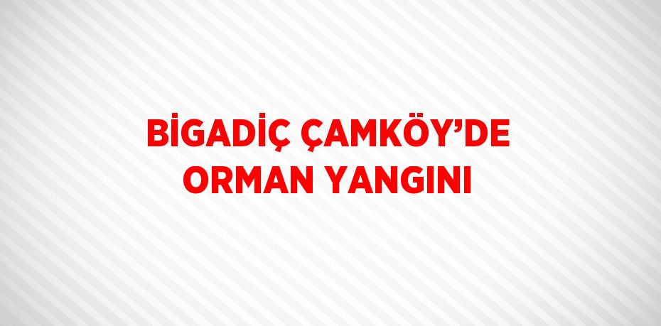 BİGADİÇ ÇAMKÖY’DE ORMAN YANGINI