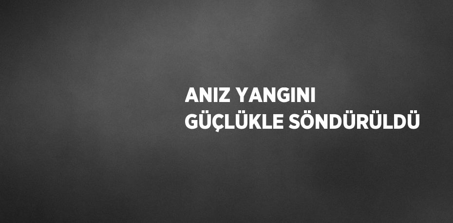 ANIZ YANGINI GÜÇLÜKLE SÖNDÜRÜLDÜ