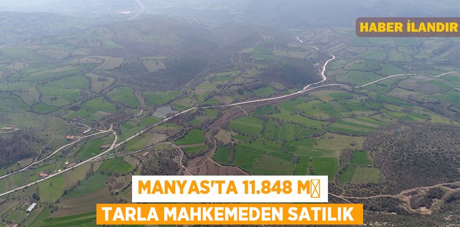 Manyas'ta 11.848 m² tarla mahkemeden satılık