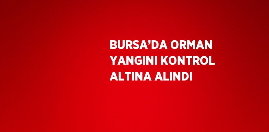 BURSA’DA ORMAN YANGINI KONTROL ALTINA ALINDI