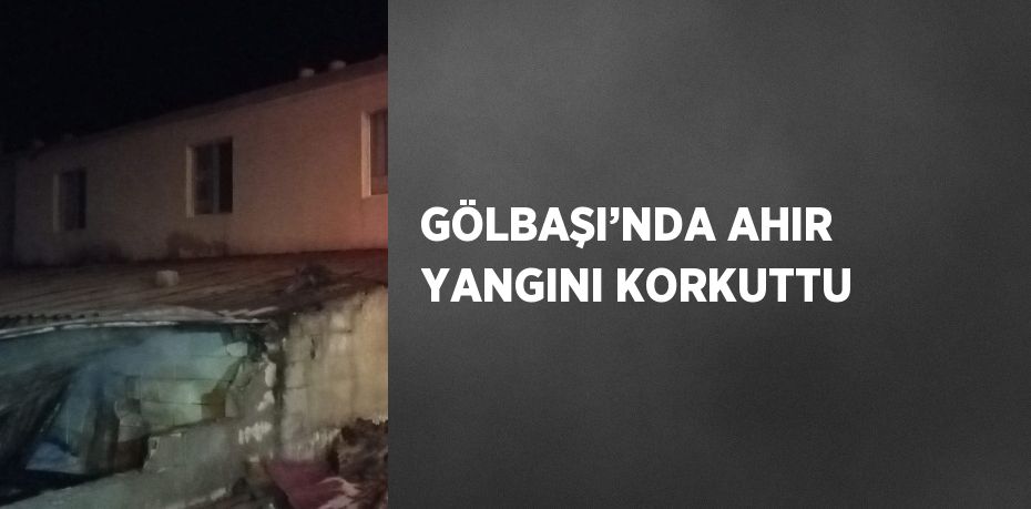 GÖLBAŞI’NDA AHIR YANGINI KORKUTTU