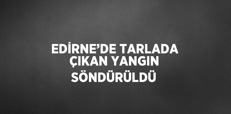 EDİRNE’DE TARLADA ÇIKAN YANGIN SÖNDÜRÜLDÜ