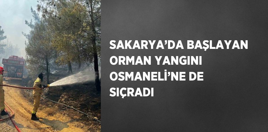 SAKARYA’DA BAŞLAYAN ORMAN YANGINI OSMANELİ’NE DE SIÇRADI