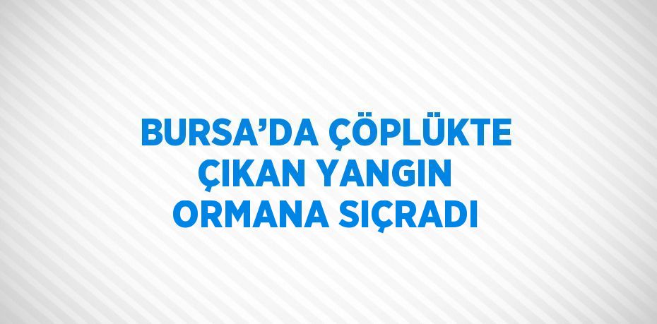 BURSA’DA ÇÖPLÜKTE ÇIKAN YANGIN ORMANA SIÇRADI