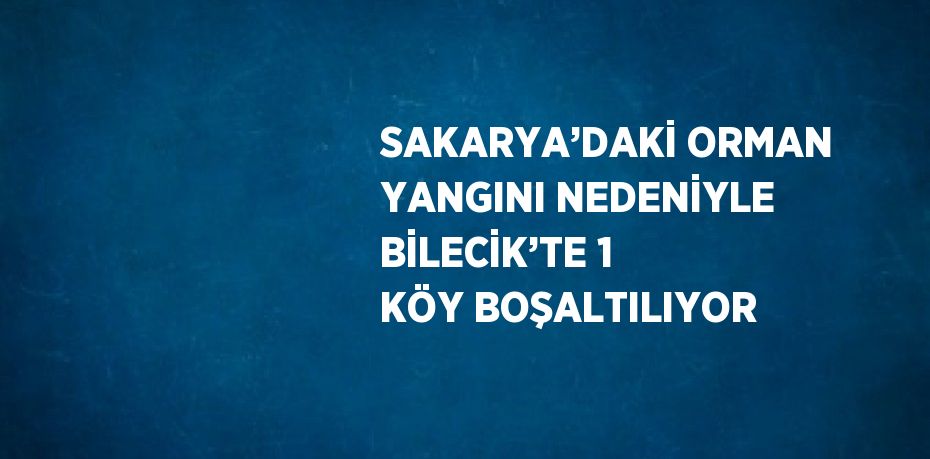 SAKARYA’DAKİ ORMAN YANGINI NEDENİYLE BİLECİK’TE 1 KÖY BOŞALTILIYOR