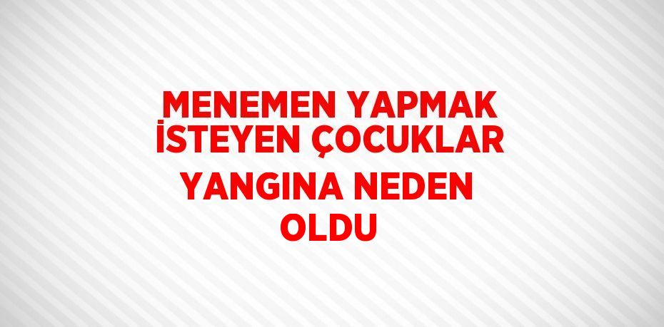 MENEMEN YAPMAK İSTEYEN ÇOCUKLAR YANGINA NEDEN OLDU