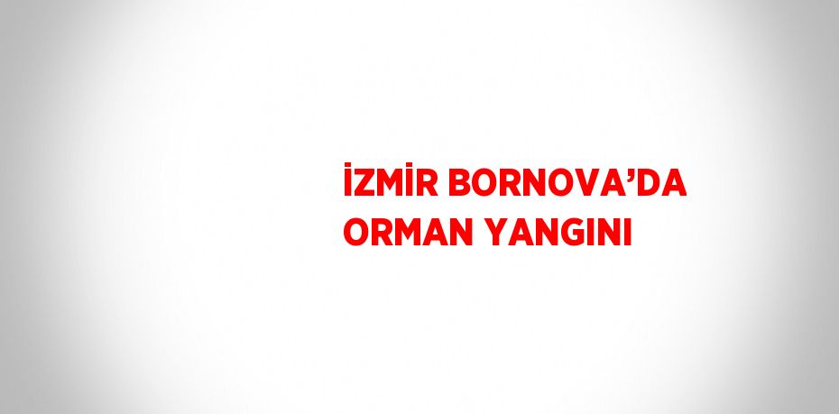 İZMİR BORNOVA’DA ORMAN YANGINI