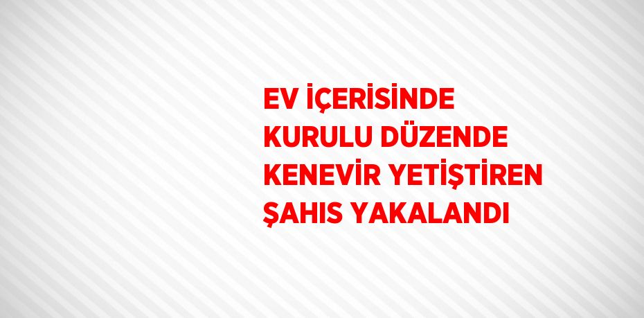 EV İÇERİSİNDE KURULU DÜZENDE KENEVİR YETİŞTİREN ŞAHIS YAKALANDI
