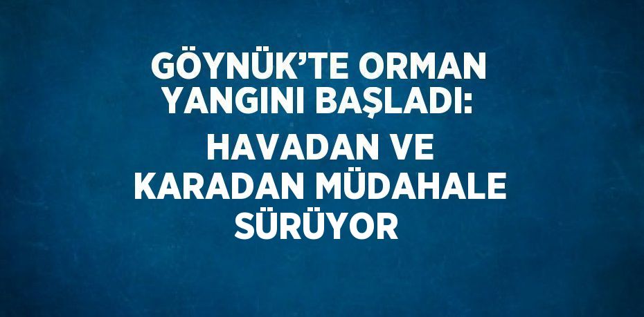 GÖYNÜK’TE ORMAN YANGINI BAŞLADI: HAVADAN VE KARADAN MÜDAHALE SÜRÜYOR