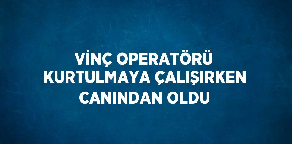 VİNÇ OPERATÖRÜ KURTULMAYA ÇALIŞIRKEN CANINDAN OLDU