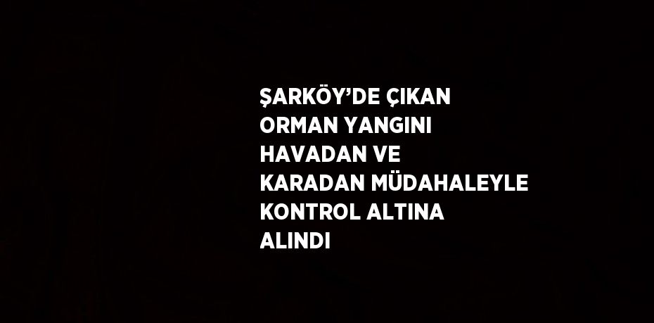 ŞARKÖY’DE ÇIKAN ORMAN YANGINI HAVADAN VE KARADAN MÜDAHALEYLE KONTROL ALTINA ALINDI