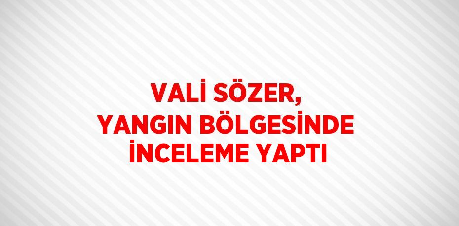 VALİ SÖZER, YANGIN BÖLGESİNDE İNCELEME YAPTI