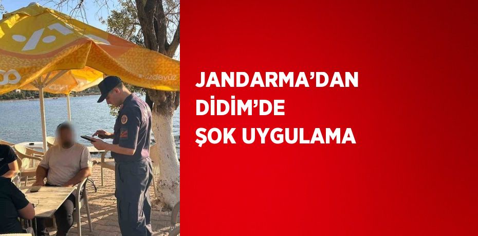 JANDARMA’DAN DİDİM’DE ŞOK UYGULAMA