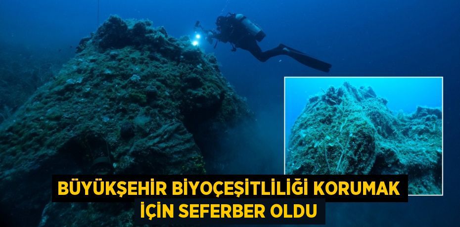 Büyükşehir biyoçeşitliliği korumak için seferber oldu