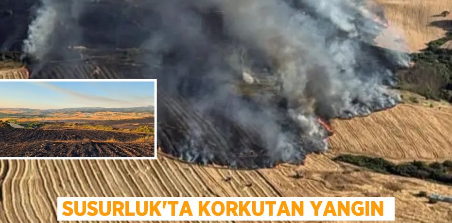 Susurluk’ta korkutan yangın