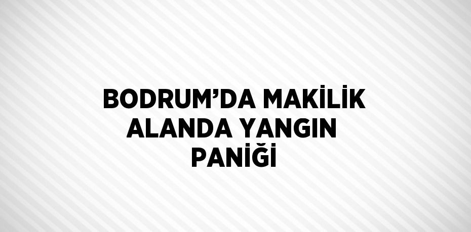 BODRUM’DA MAKİLİK ALANDA YANGIN PANİĞİ
