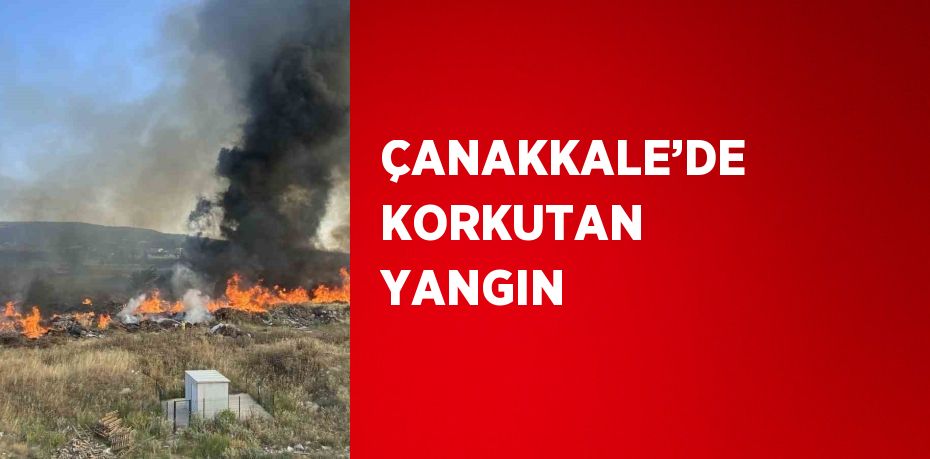 ÇANAKKALE’DE KORKUTAN YANGIN