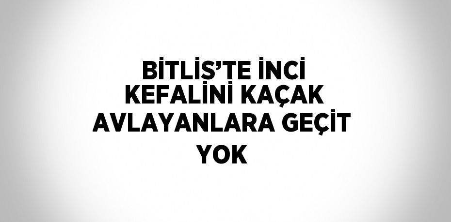 BİTLİS’TE İNCİ KEFALİNİ KAÇAK AVLAYANLARA GEÇİT YOK