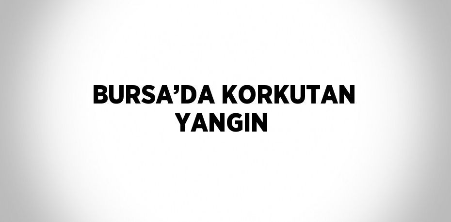 BURSA’DA KORKUTAN YANGIN
