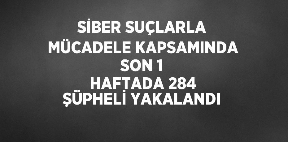 SİBER SUÇLARLA MÜCADELE KAPSAMINDA SON 1 HAFTADA 284 ŞÜPHELİ YAKALANDI
