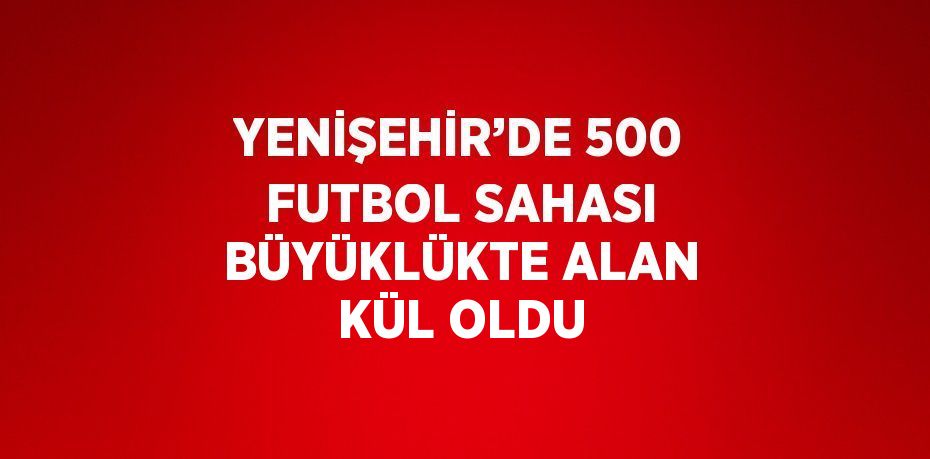 YENİŞEHİR’DE 500 FUTBOL SAHASI BÜYÜKLÜKTE ALAN KÜL OLDU