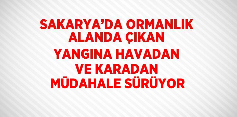 SAKARYA’DA ORMANLIK ALANDA ÇIKAN YANGINA HAVADAN VE KARADAN MÜDAHALE SÜRÜYOR