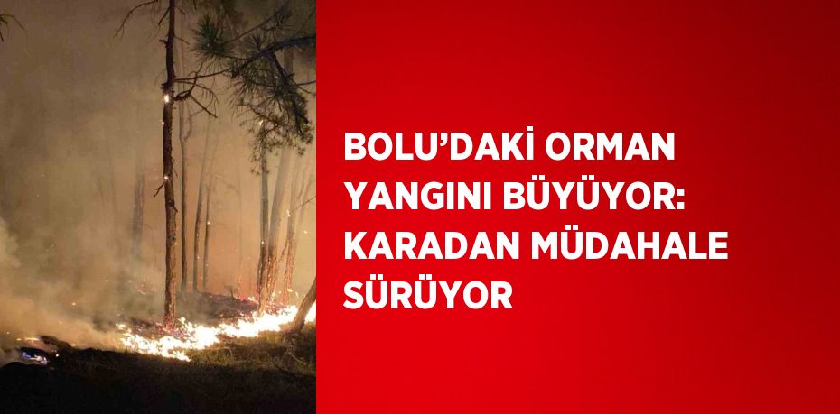 BOLU’DAKİ ORMAN YANGINI BÜYÜYOR: KARADAN MÜDAHALE SÜRÜYOR