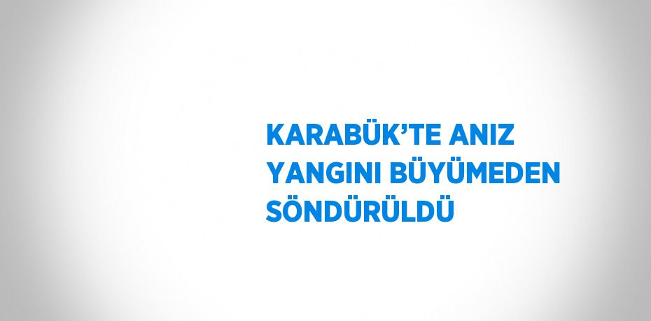 KARABÜK’TE ANIZ YANGINI BÜYÜMEDEN SÖNDÜRÜLDÜ