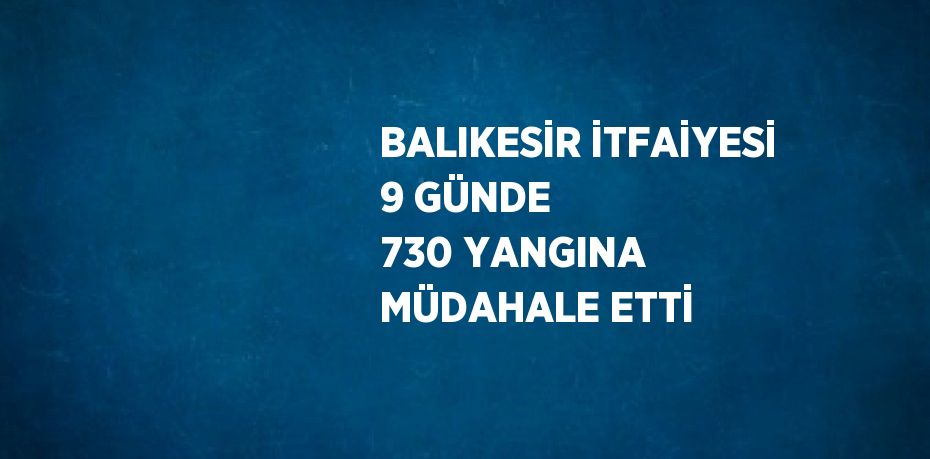 BALIKESİR İTFAİYESİ 9 GÜNDE 730 YANGINA MÜDAHALE ETTİ