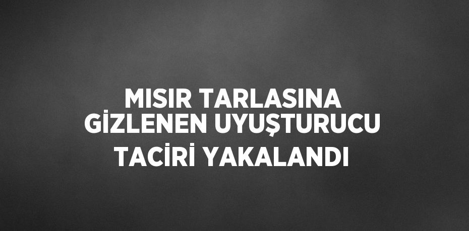 MISIR TARLASINA GİZLENEN UYUŞTURUCU TACİRİ YAKALANDI
