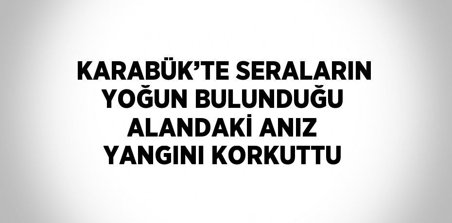 KARABÜK’TE SERALARIN YOĞUN BULUNDUĞU ALANDAKİ ANIZ YANGINI KORKUTTU