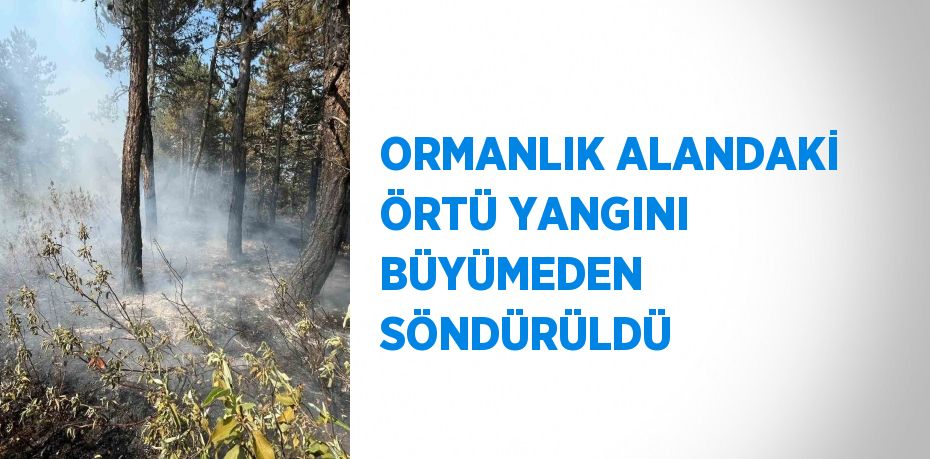ORMANLIK ALANDAKİ ÖRTÜ YANGINI BÜYÜMEDEN SÖNDÜRÜLDÜ