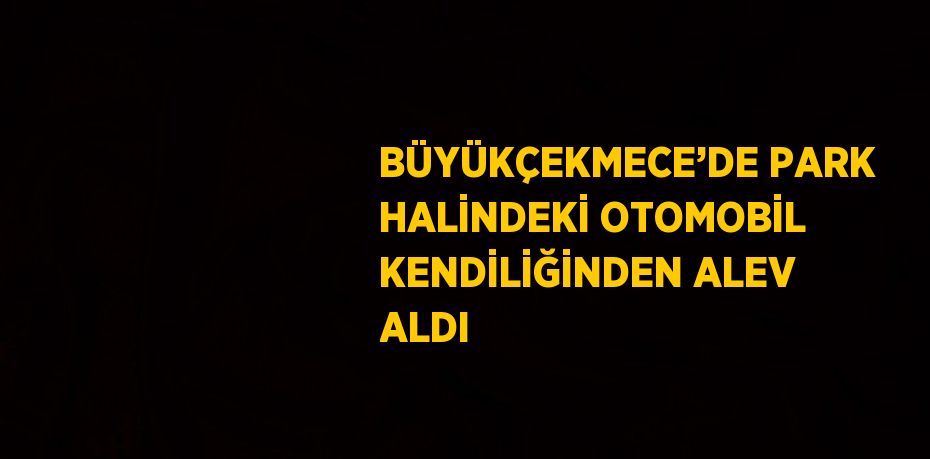 BÜYÜKÇEKMECE’DE PARK HALİNDEKİ OTOMOBİL KENDİLİĞİNDEN ALEV ALDI