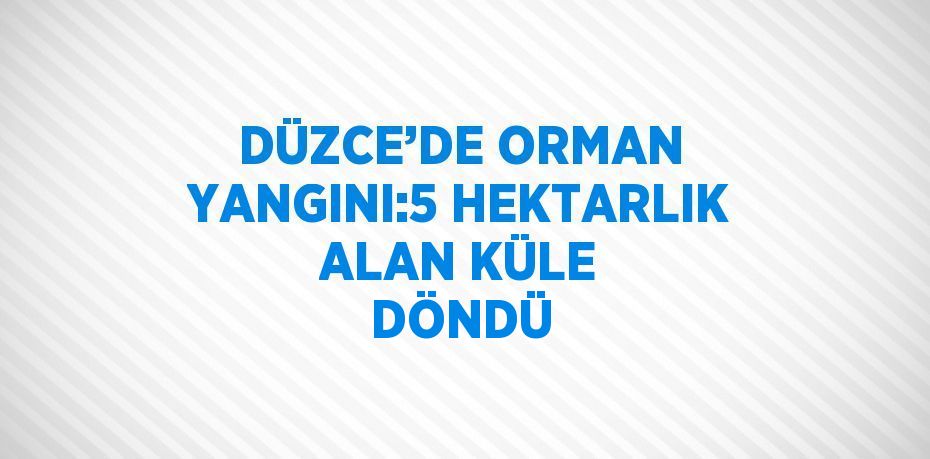 DÜZCE’DE ORMAN YANGINI:5 HEKTARLIK ALAN KÜLE DÖNDÜ