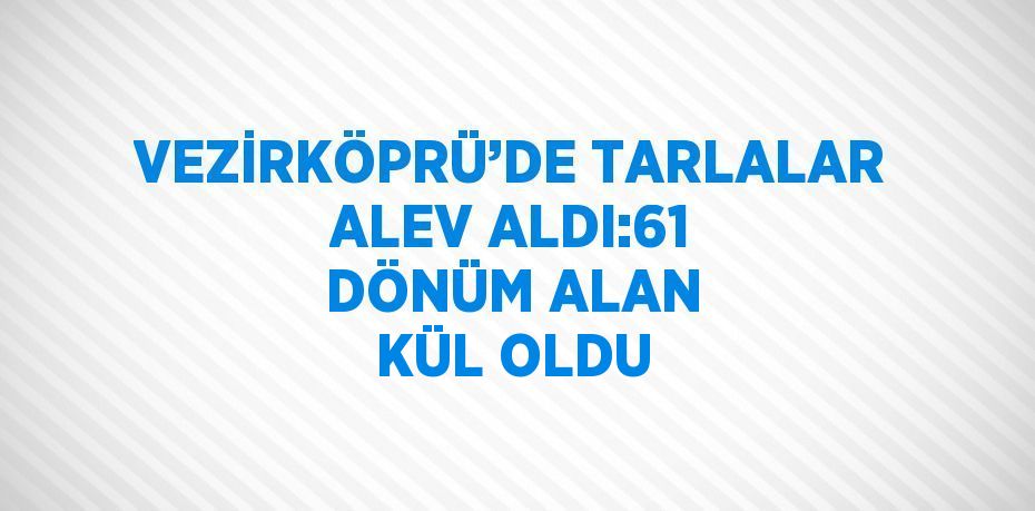 VEZİRKÖPRÜ’DE TARLALAR ALEV ALDI:61 DÖNÜM ALAN KÜL OLDU