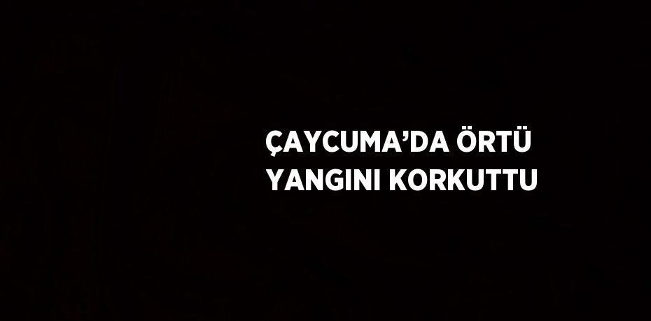 ÇAYCUMA’DA ÖRTÜ YANGINI KORKUTTU