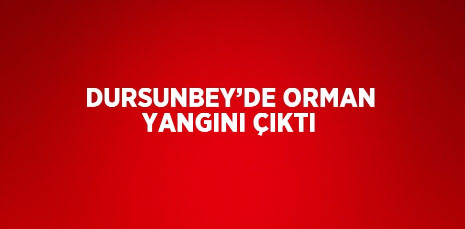 DURSUNBEY’DE ORMAN YANGINI ÇIKTI