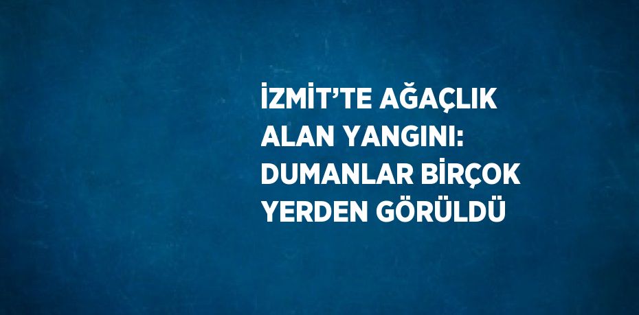 İZMİT’TE AĞAÇLIK ALAN YANGINI: DUMANLAR BİRÇOK YERDEN GÖRÜLDÜ