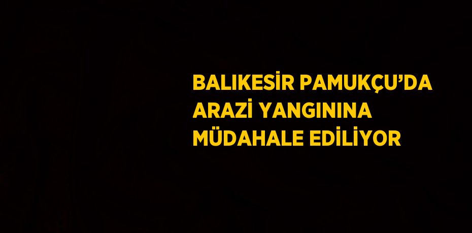 BALIKESİR PAMUKÇU’DA ARAZİ YANGININA MÜDAHALE EDİLİYOR