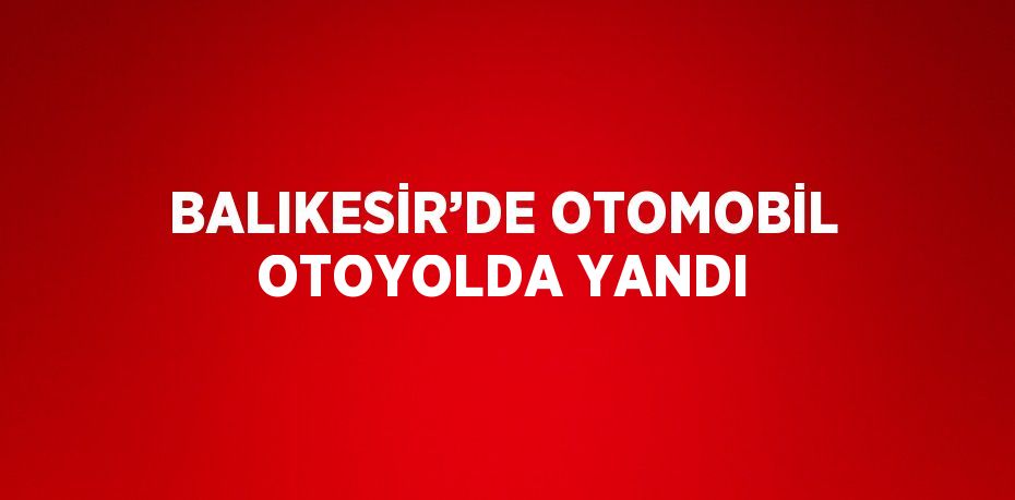 BALIKESİR’DE OTOMOBİL OTOYOLDA YANDI