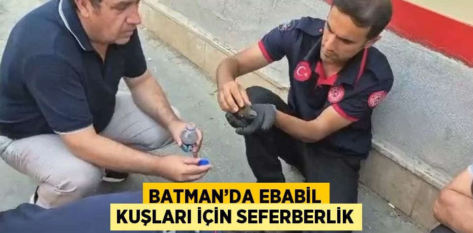 BATMAN’DA EBABİL KUŞLARI İÇİN SEFERBERLİK