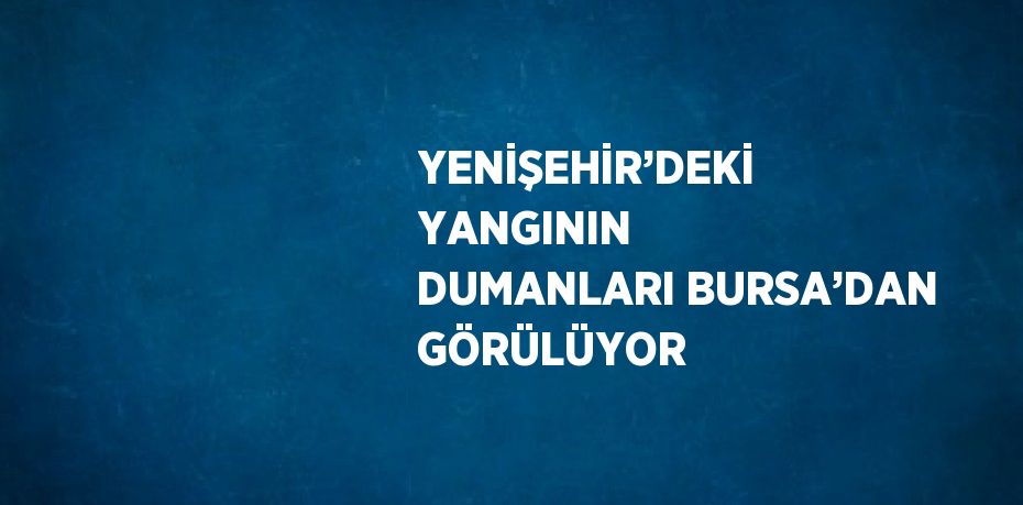 YENİŞEHİR’DEKİ YANGININ DUMANLARI BURSA’DAN GÖRÜLÜYOR